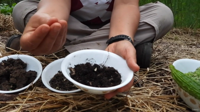 Soil-First Gardening: How to Grow Black Gold in the Backyard - Screenshot_03
