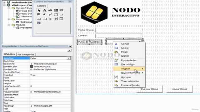 Diseño y validación de hojas de cálculo en Microsoft Excel – Screenshot 2