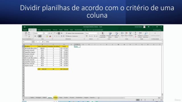 Excel VBA Aprenda Automatizar Relatórios em um Fim de Semana – Screenshot 1