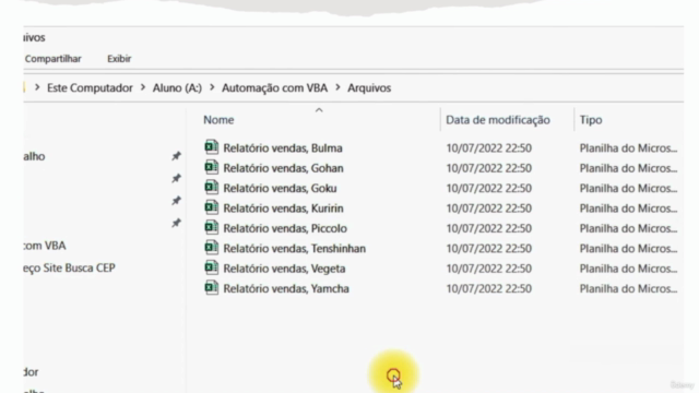 Excel VBA Aprenda Automatizar Relatórios em um Fim de Semana – Screenshot 3