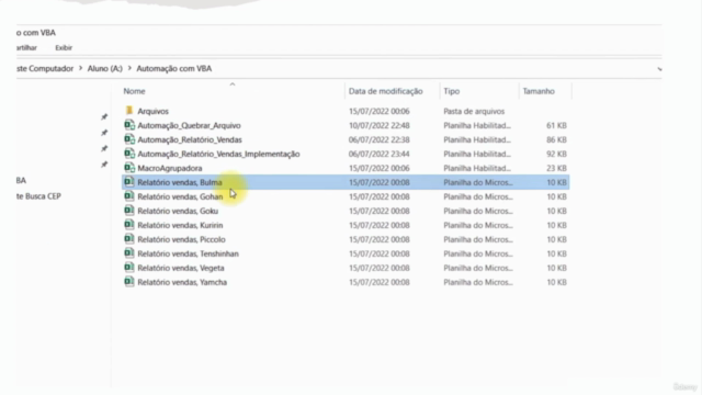 Excel VBA Aprenda Automatizar Relatórios em um Fim de Semana – Screenshot 4