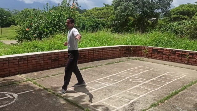 Curso de Kung Fu estilo Mantis 5 Formas Basicas de Tang Lang – Screenshot 4