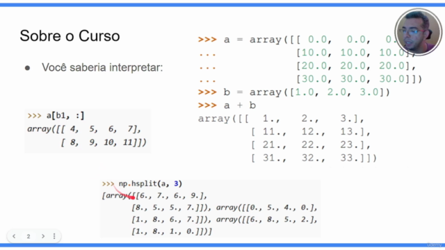 NumPy Python - Tudo sobre a Biblioteca – Screenshot 1