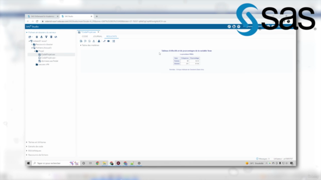 Programmer avec SAS en 4h en partant de zéro + Projet (2025) – Screenshot 3