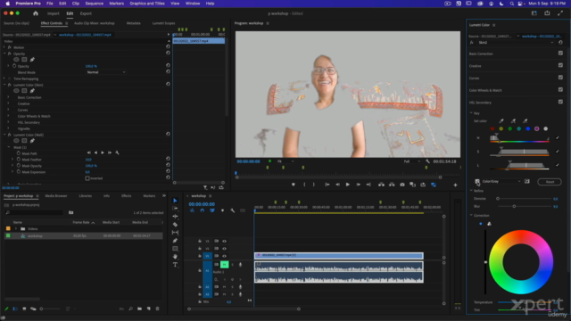 Adobe Premiere Pro - Máster: De Básico a Profesional. - Screenshot_02