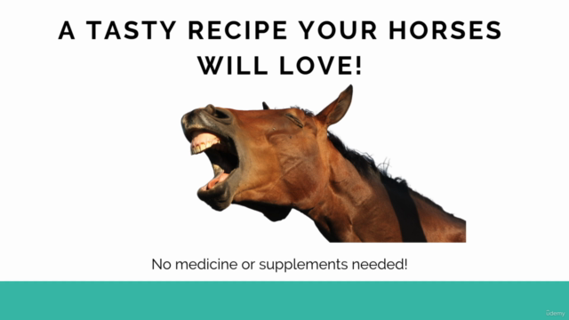 Horse Colic Prevention | Home Remedy for a Healthy Gut – Screenshot 3