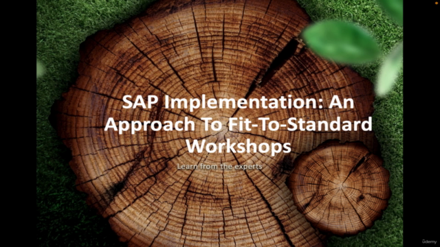 SAP Implementation: An Approach To Fit-To-Standard Workshops – Screenshot 1
