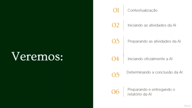 Auditor Interno Líder – Screenshot 2