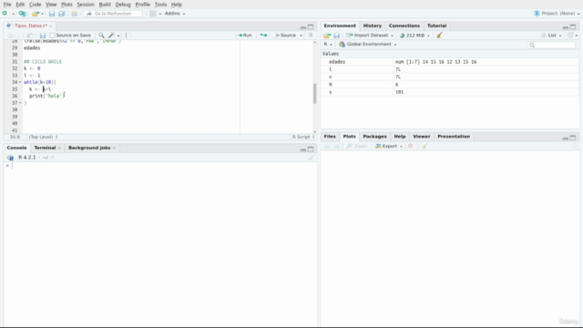 Introducción a R Programming – Screenshot 2