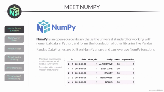 Python Data Analysis: NumPy & Pandas Masterclass – Screenshot 1