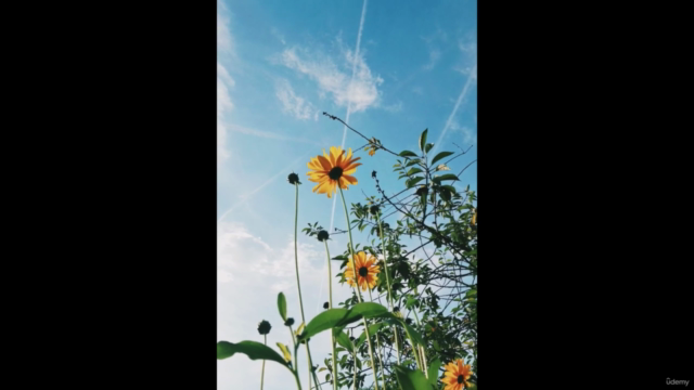 Grounding For Empaths – Screenshot 1
