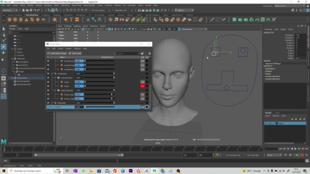 Autodesk Maya ile Rigging ve Yüz animasyonunu öğrenin - Screenshot_04