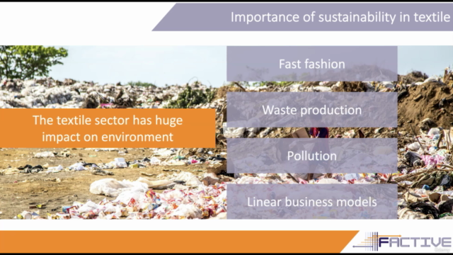Sustainability in the Textile and Clothing Industry – Screenshot 2