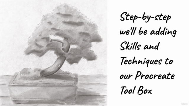 Drawing, Shading and Coloring Bonsai Trees in Procreate – Screenshot 2