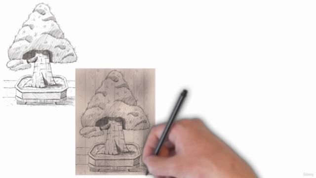 Drawing, Shading and Coloring Bonsai Trees in Procreate – Screenshot 4