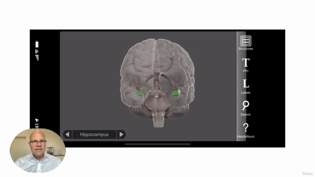 Bindungsangst besiegen mit EFT EMDR und Hypnose – Screenshot 1