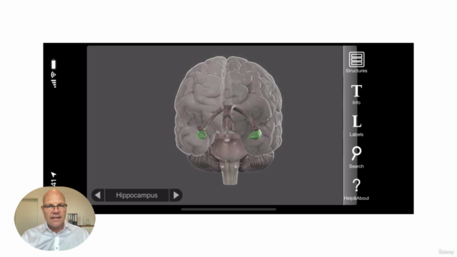 Eifersucht und Verlustangst besiegen mit EFT EMDR & Hypnose – Screenshot 1