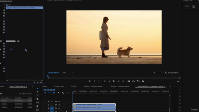 Видеомонтаж в Premiere Pro - С нуля до результата! – Screenshot 4