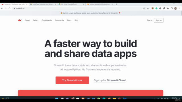 Build Machine Learning Web Application with Streamlit – Screenshot 2