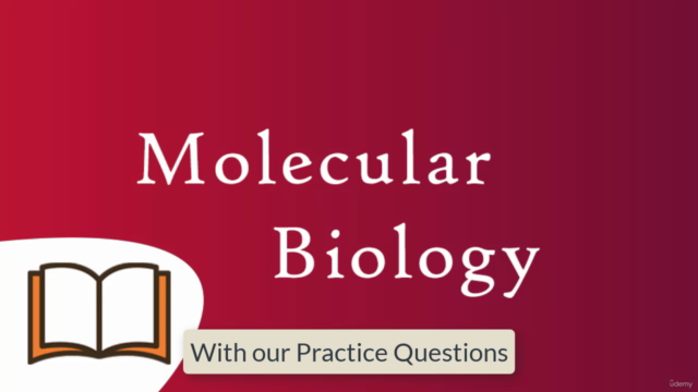 ASCP MB Molecular Biology Exam Questions Practice Test – Screenshot 2
