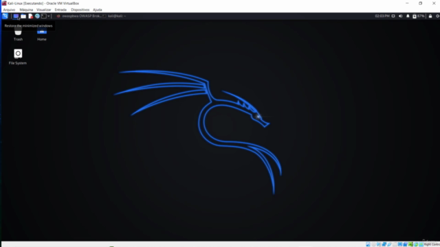 Técnicas de Invasão com Kali Linux – Screenshot 3