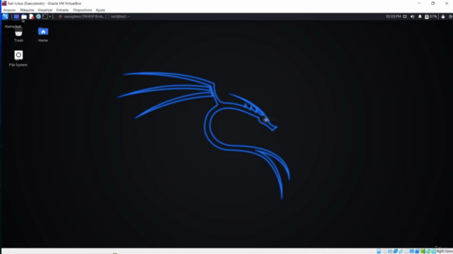 Técnicas de Invasão com Kali Linux – Screenshot 4