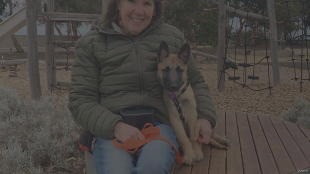 Scent Detection For Dog Sports – Screenshot 1
