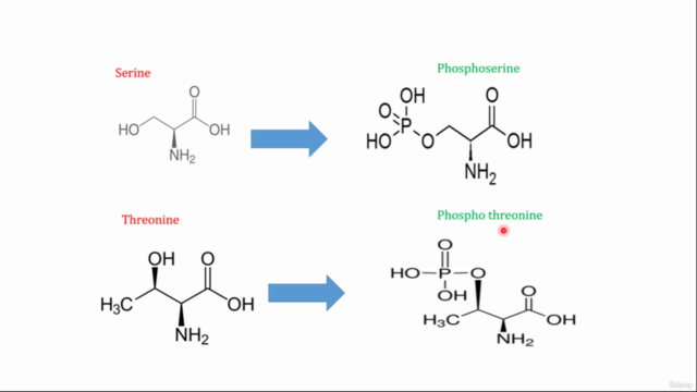Cell Signaling; Communication at the Molecular level – Screenshot 2