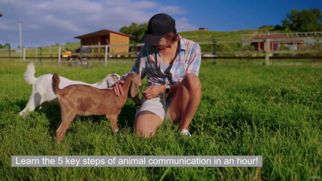 ANIMAL COMMUNICATION Beginners - Easy 1 Hour 5 Step Method – Screenshot 1