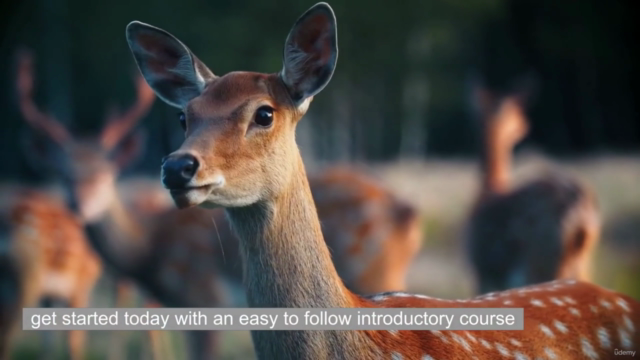ANIMAL COMMUNICATION Beginners - Easy 1 Hour 5 Step Method – Screenshot 4