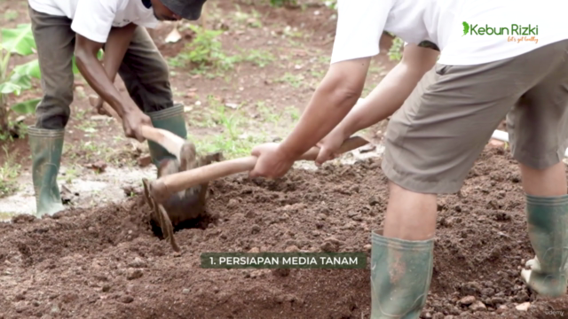 6 Kunci Sukes Berkebun Organik Ala Kebun Rizki – Screenshot 2