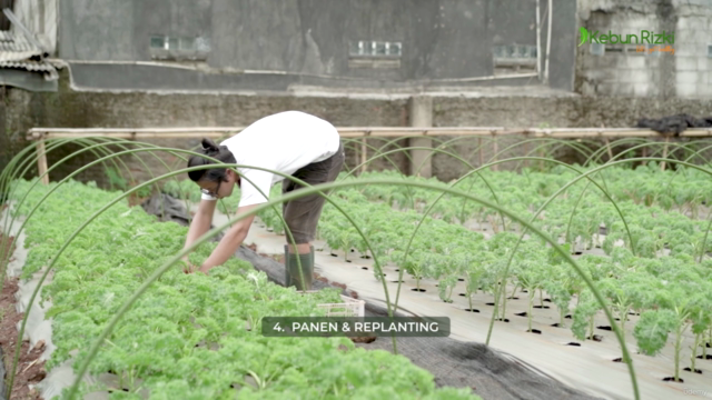 6 Kunci Sukes Berkebun Organik Ala Kebun Rizki – Screenshot 3