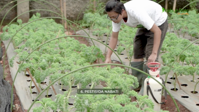 6 Kunci Sukes Berkebun Organik Ala Kebun Rizki – Screenshot 4