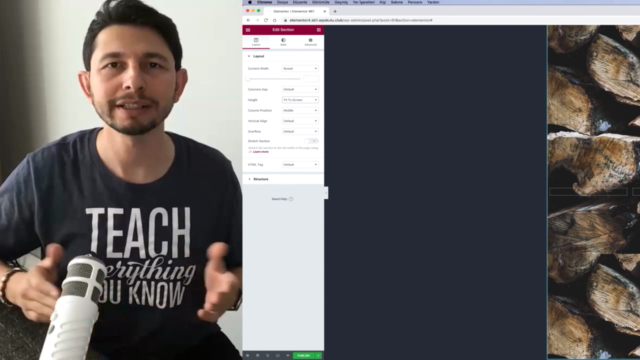 Elementor Eğitimi: İleri Seviye Sayfa Tasarımları Yapmak – Screenshot 3
