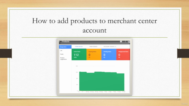 The Ultimate Google Shopping Course & Strategy - Google Ads – Screenshot 1