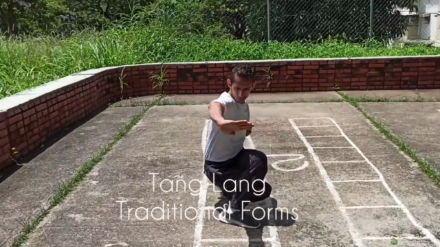 Traditional Kung Fu Tang Lang Chuen First 5 Forms – Screenshot 1