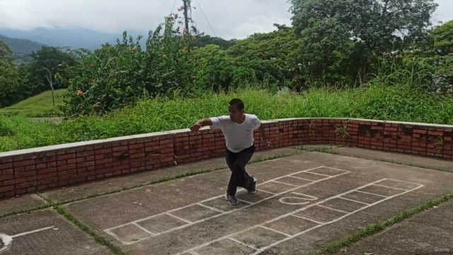 Traditional Kung Fu Tang Lang Chuen First 5 Forms – Screenshot 2