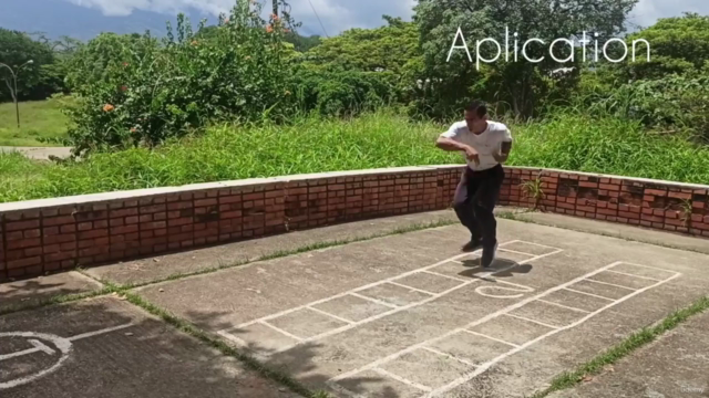 Traditional Kung Fu Tang Lang Chuen First 5 Forms – Screenshot 3