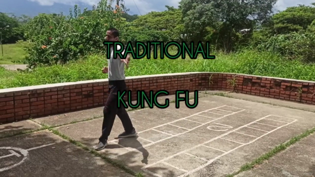Traditional Kung Fu Tang Lang Chuen First 5 Forms – Screenshot 4