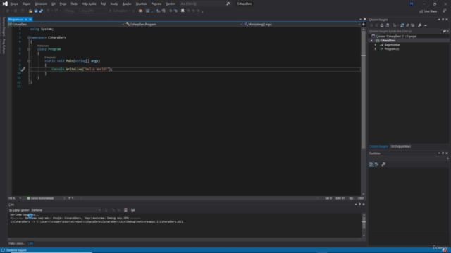 C# Yazılım Dilini Örneklerle Öğrenin – Screenshot 1
