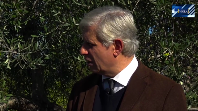 Memoria-Ricordare e studiare con successo con Paolo Viola 2 – Screenshot 1