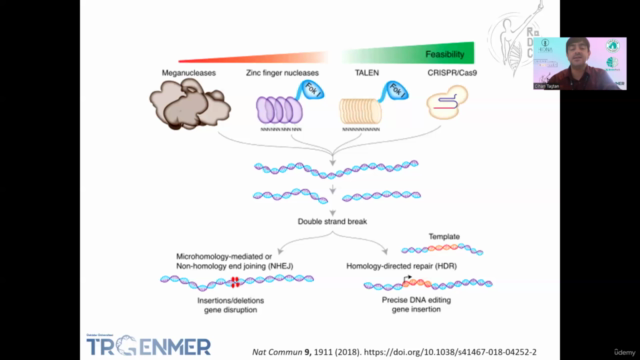 CRISPR genetic editing methods in target diseases – Screenshot 3