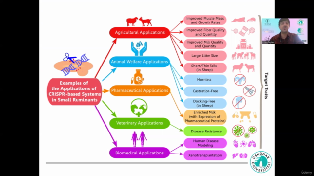 CRISPR genetic editing methods in target diseases – Screenshot 4