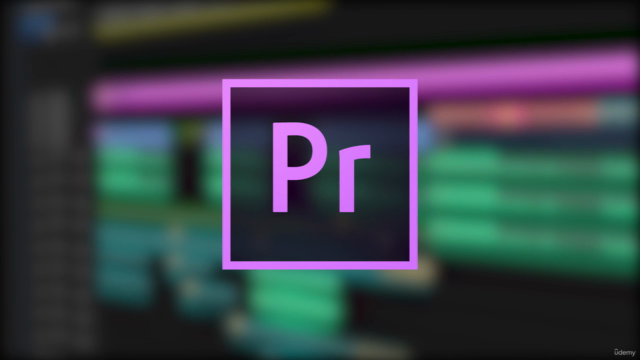 Learn Adobe Premiere Pro in Hindi - Beginners to Pro – Screenshot 2