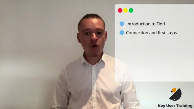 Mastering SAP Fiori: An In-depth End-User Guide – Screenshot 2