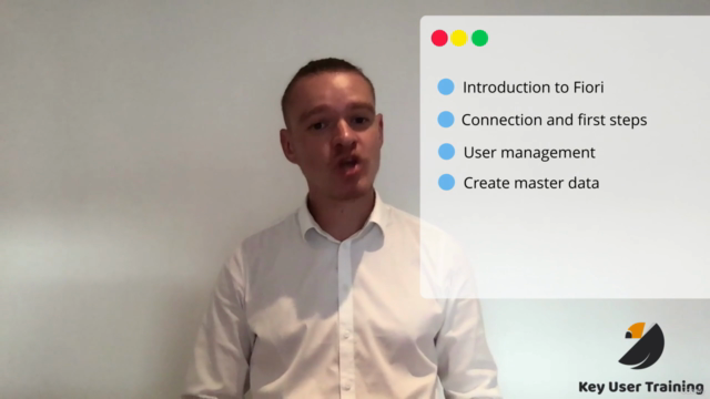 Mastering SAP Fiori: An In-depth End-User Guide – Screenshot 3