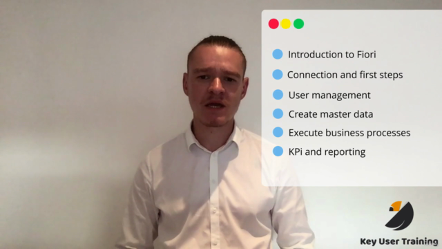 Mastering SAP Fiori: An In-depth End-User Guide – Screenshot 4