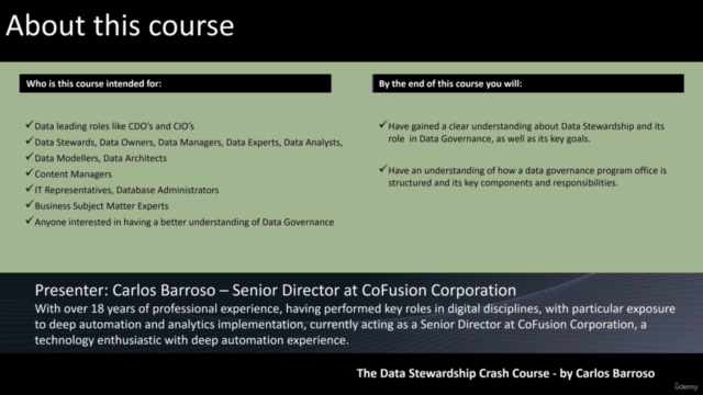 The Data Stewardship Crash Course – Screenshot 3