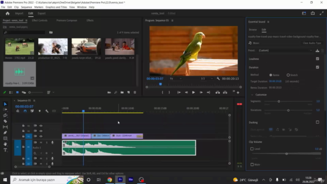 Premiere 2022 Eğitim Seti – Screenshot 2