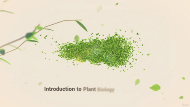 Introduction to plant biology and botany - Screenshot_02